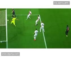 中国棒球协会举办国际研讨会